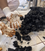 Ladakhi Shilajit - Image 2